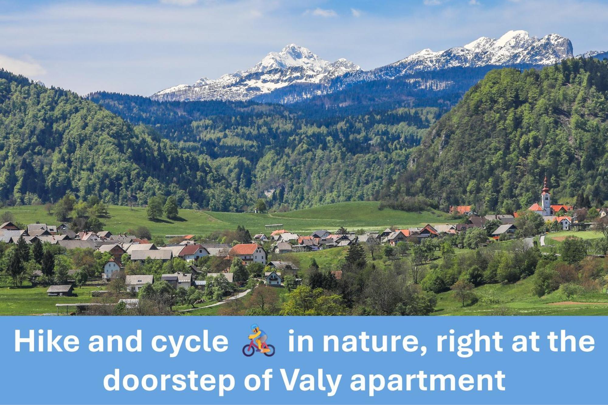 Apartment Valy - Free Bikes, Relaxing Terrace & Near Bled Ngoại thất bức ảnh